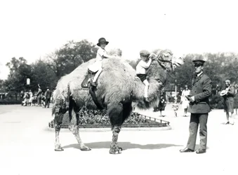 Tevegelés a ZSL Londoni Állatkertben, 1928. szeptember